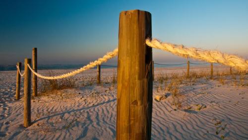 Dune Fencing, Panama City Beach
