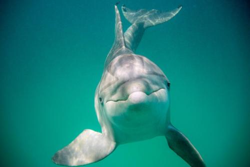 Snorkeling tour with Capt. Lorraine Frasier, 8-26-14.  ©2014 Kevin Novak.