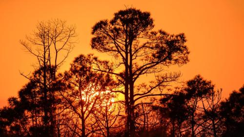 Sunset, St. Andrews State Park, Panama City Beach, FL.  ©2015 Keivn Novak.