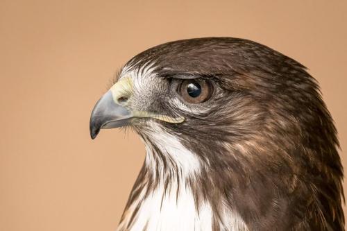 2016-05-16 0914-Edit