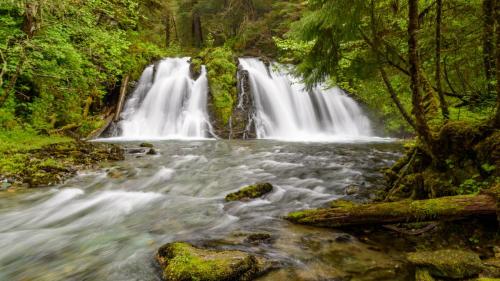 Verdant waterfall caused by snowmelt.  Juneau, Alaska.