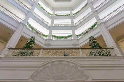 2016-12-04 Novak 051-Edit