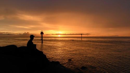 A man, his dog, and a dolphin watching the sunset at the Venice Jetty.
