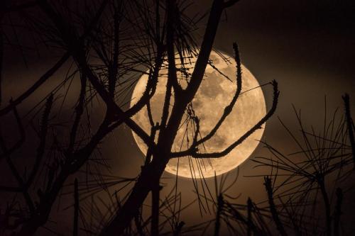Full moon rise.  Venice, FL.