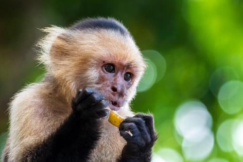 2018-11-11 Novak 0410-Edit