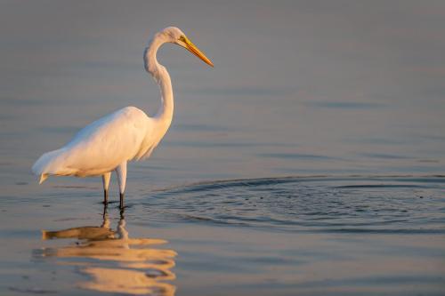 2019-09-18 Novak 0454-Edit