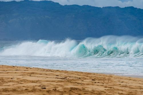 2019-11-15 Novak 069-Edit