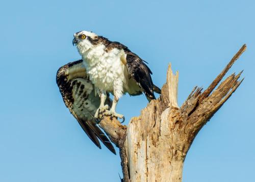 2020-07-16 Novak 057-Edit