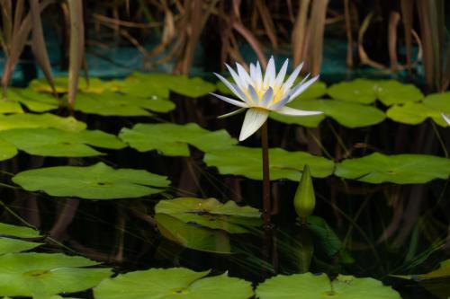 2020-08-11 Novak 036-Edit