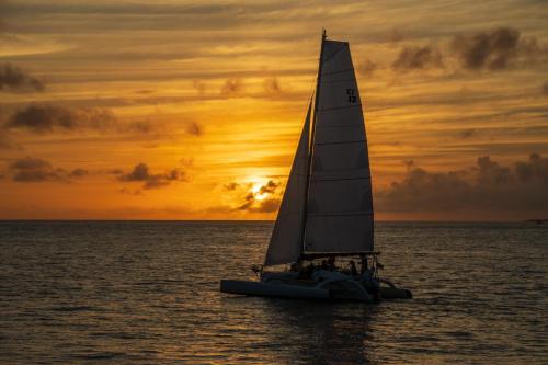 2020-12-13 Novak 037-Edit