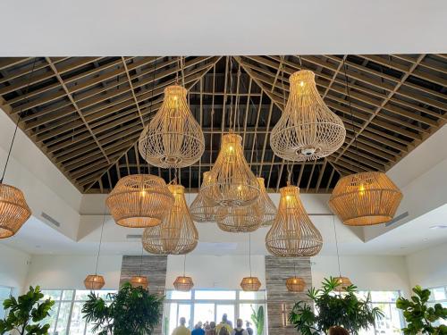 2021-02-24 Novak 127-Edit