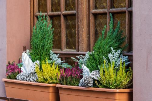 2021-12-13 Novak 026-Edit