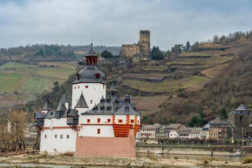 2021-12-15 Novak 041-Edit