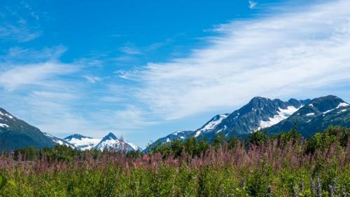 Alaska.