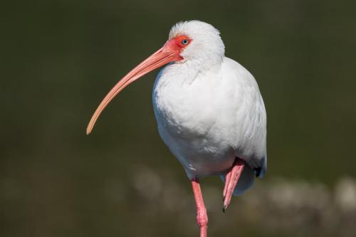 2022-12-11 6473-Edit