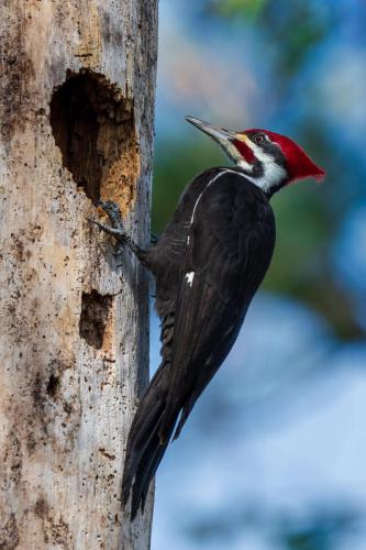 2023-01-02 7928-Edit