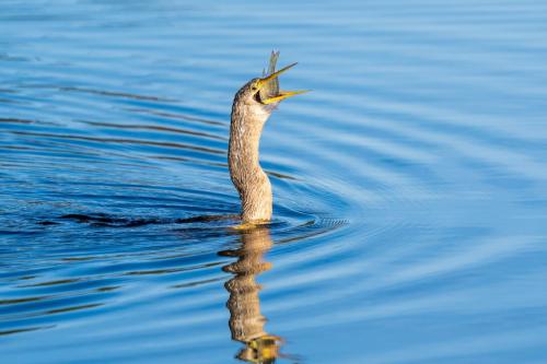 2023-01-18 0137-Edit