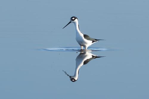 2023-02-01 3187-Edit-2