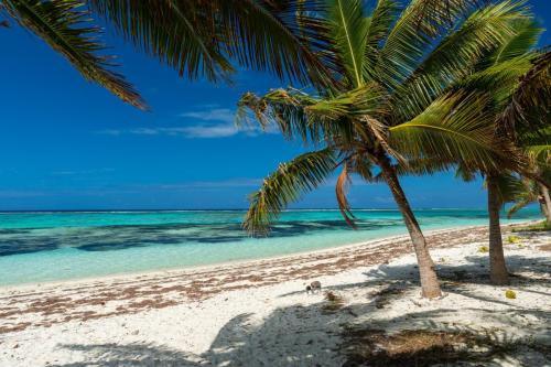 Faluga Island, Fiji.